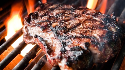 Mangal keyfiniz kedere dönmesin!