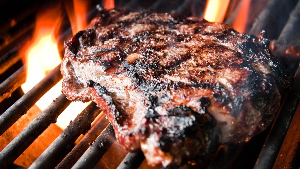 Mangal keyfiniz kedere dönmesin!