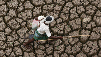 "1,5 milyar insan çölleşmenin etkisi altında"