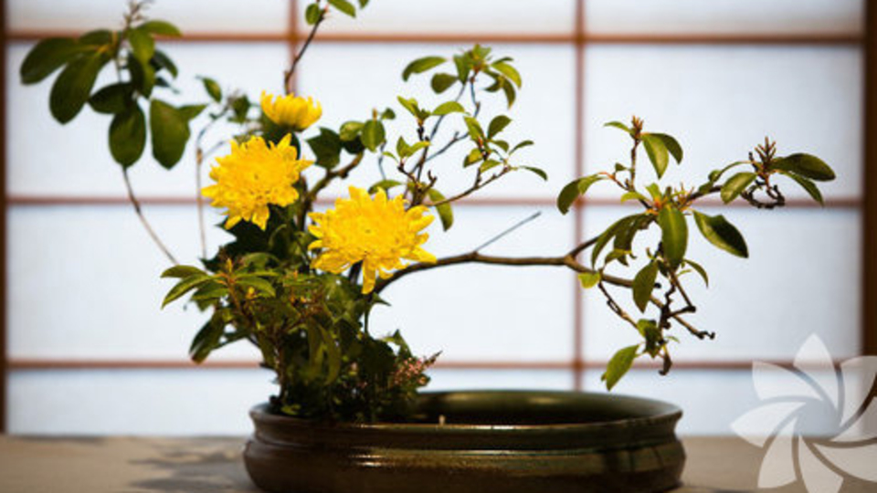 Çiçek düzenlemek bir sanattır