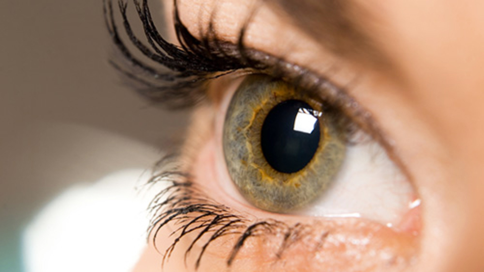 Göz gribine dikkat!