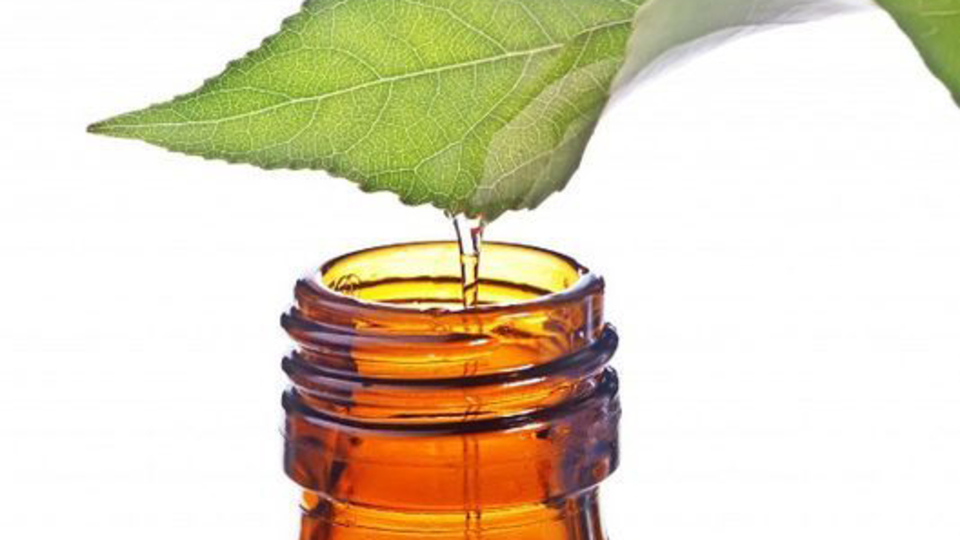 İşte doğal sivrisinek kovucu!