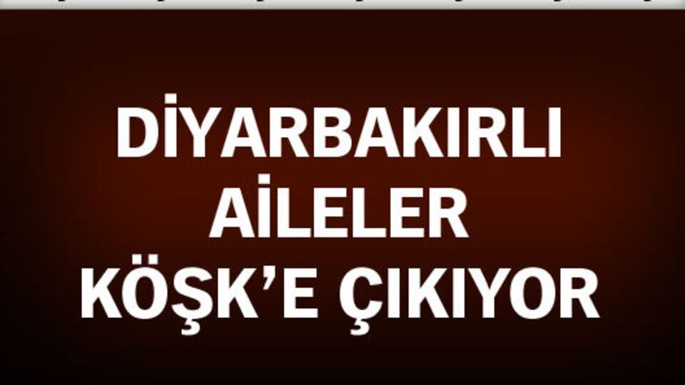 Cumhurbaşkanı Gül Diyarbakırlı ailelerle görüştü