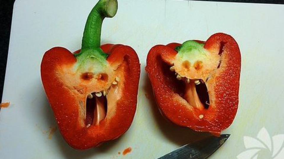 Dolmabiberleri hiç böyle görmediniz