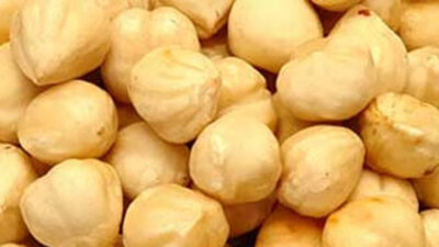 Türk fındık devi İtalyanlar'a satıldı!