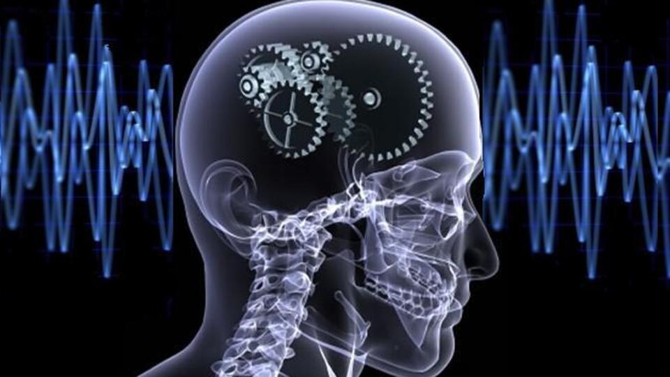 Bilincin "açma/kapama düğmesi" bulundu