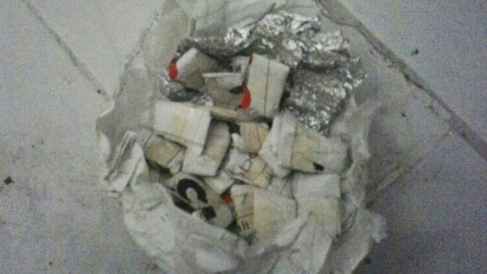 28 çeşit bonzai var