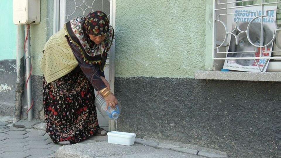 Sokak hayvanlarına sahip çıkalım çağrısı