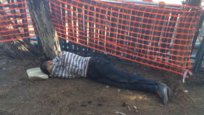 'Bonzai ile AMATEM'de tanıştım'