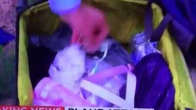 Sky News muhabiri özür diledi