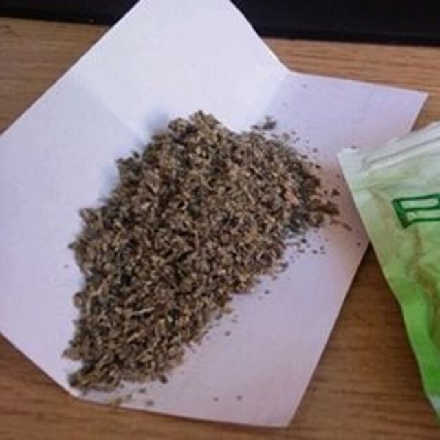 1 ayda 6 bin 'Bonzai' başvurusu!