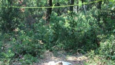 Eşini boğdu, gömerken yakalandı