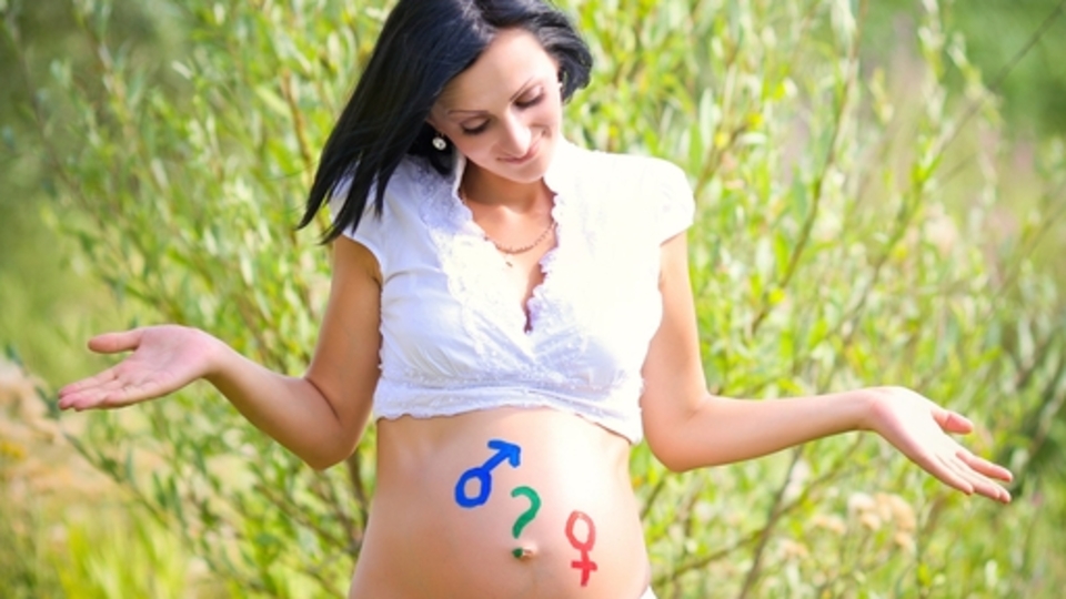 Haftalara göre hamilelik takibi...