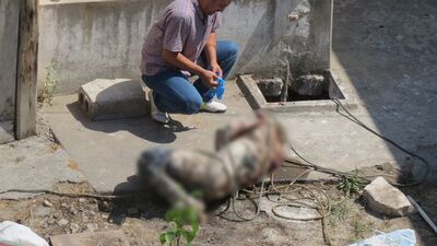 Malatya'da vahşi cinayet!