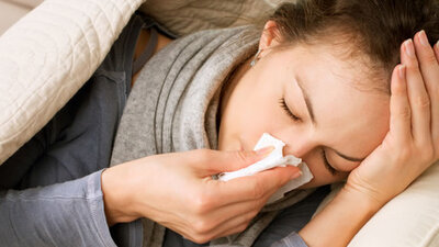 Gribin Türkçe adı: Paçavra hastalığı