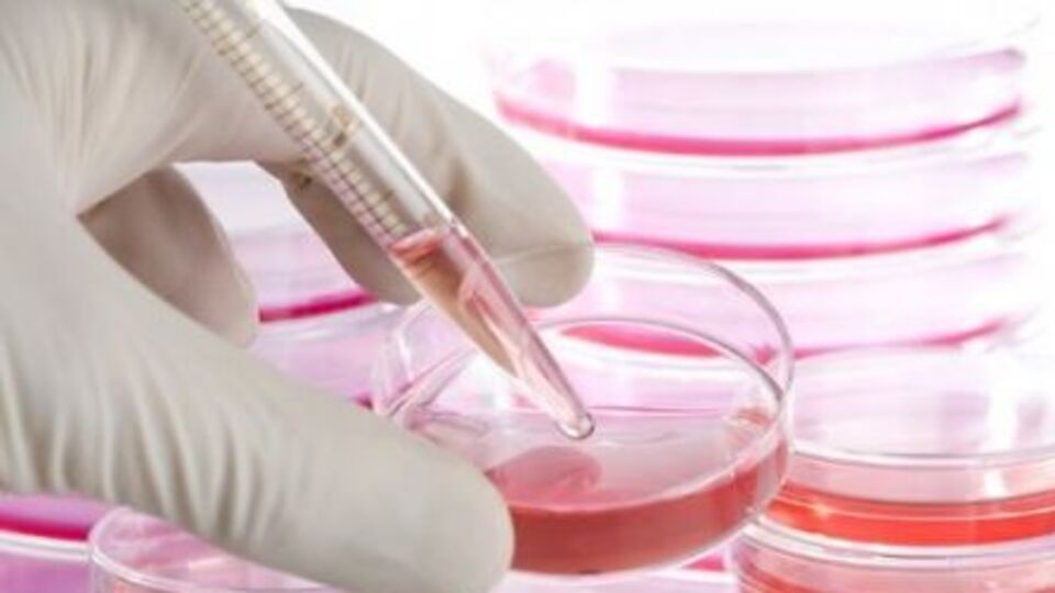 Kıkırdak hasarlarına kök hücreli çözüm