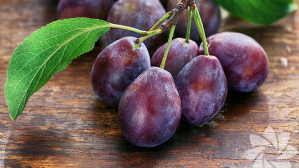 Mürdüm eriğinin faydaları