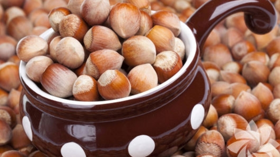 Fındığın faydaları