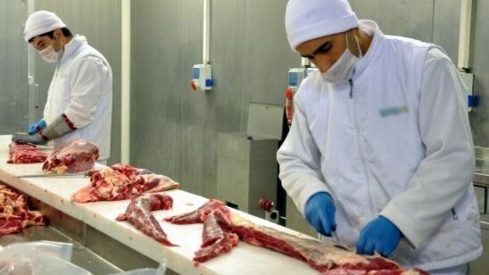 Bakanlık'tan 'domuz ürünleri' kararı