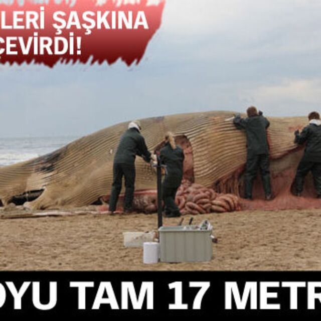 Görenleri şaşkına çevirdi!