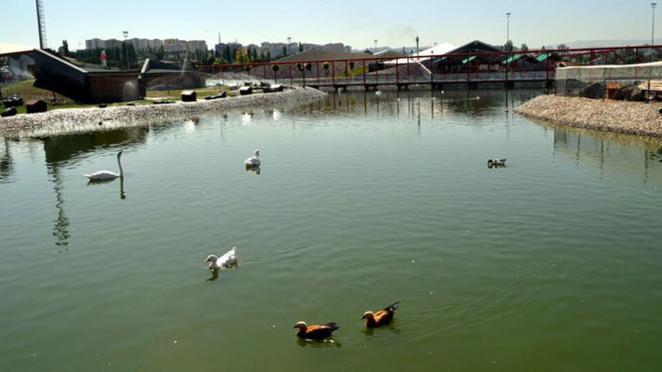 Kayseri'de akıl almaz olay