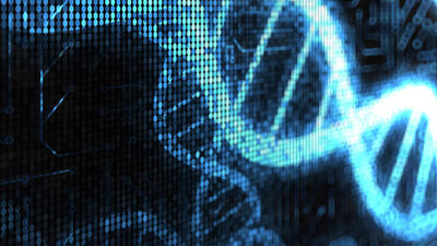 Ölüyü diriltecekler!