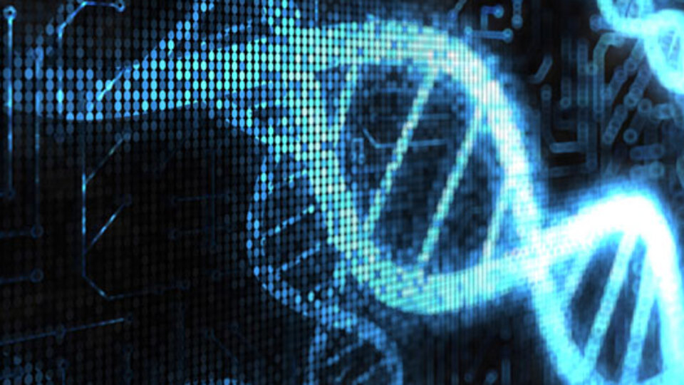 Ölüyü diriltecekler!