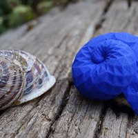 Uçuklara karşı salyangoz