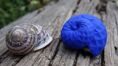 Uçuklara karşı salyangoz