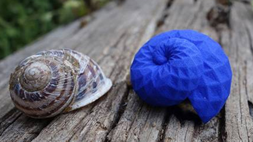 Uçuklara karşı salyangoz