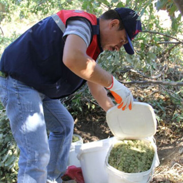 Elazığ'da dev operasyon