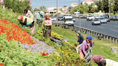 Yol kenarlarındaki yemyeşil alanlara, çiçeklendirilen parklara kadın eli değiyor