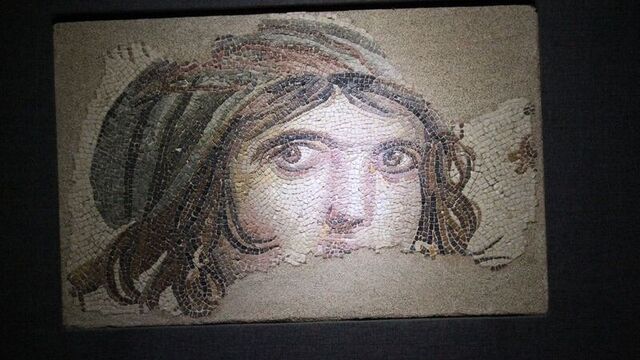 Zeugma Mozaik Müzesi
