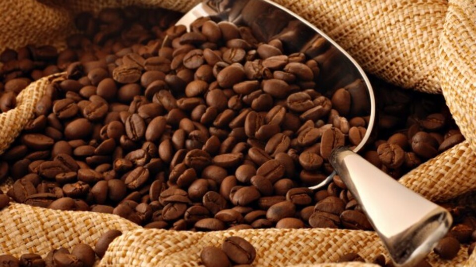 Kafein erkeklere daha zararlı