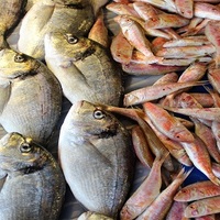 En çok hangi balığı yiyoruz?