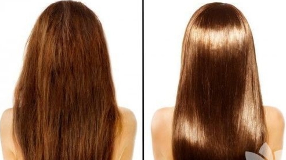 Hasar görmüş saçlar için 7 doğal yağ