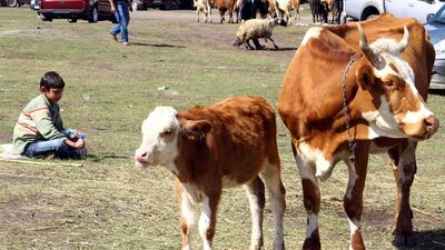 Kredi kartıyla kurban kesilir mi?