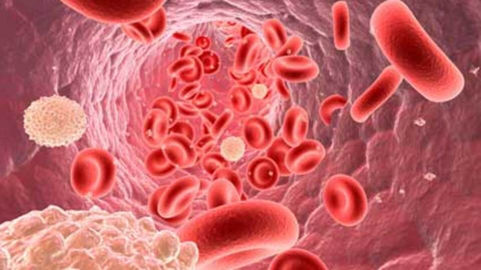 'Kanser çok geç teşhis ediliyor'