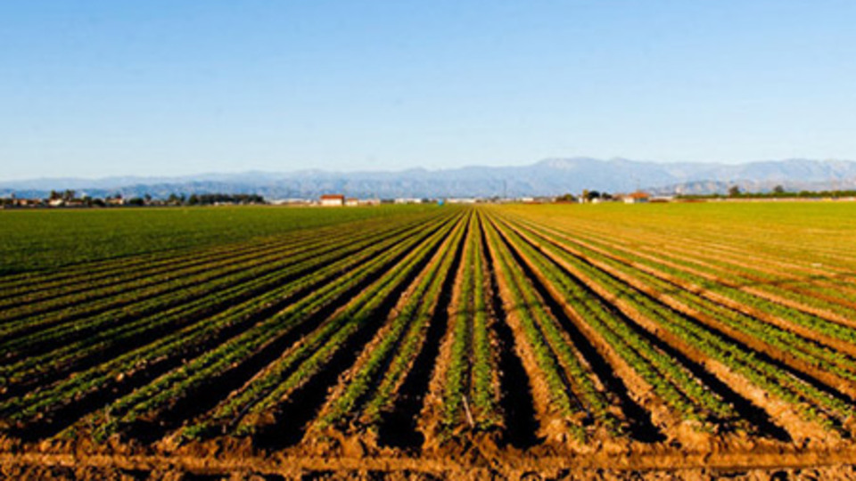 Türkiye'ye 500 milyon dolarlık yatırım!