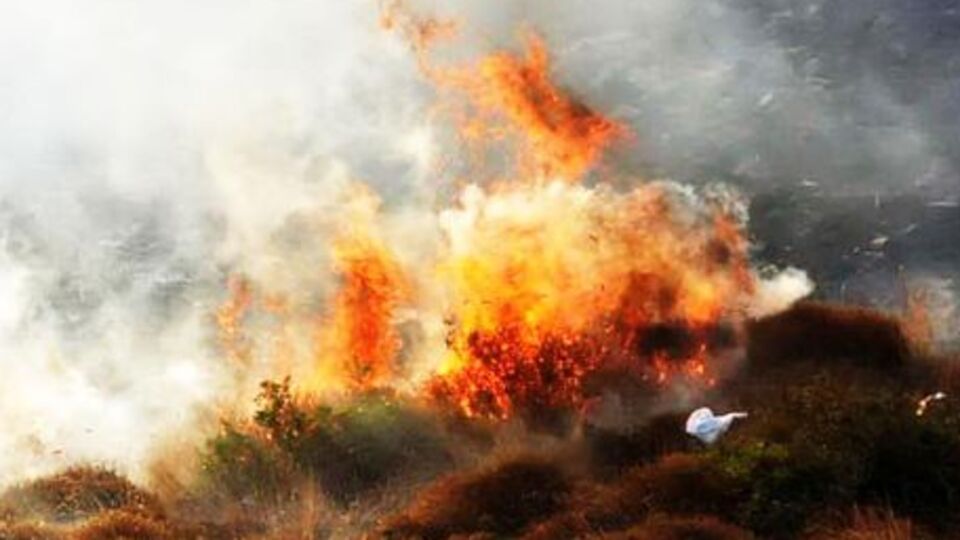 Bodrum'da korkutan yangın
