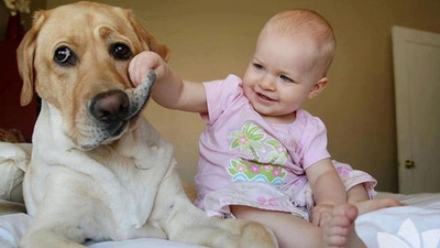 Bebeklerle köpeklerin dostluğu...