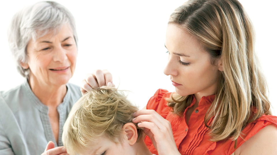 Eyvah çocuğum bitlendi!