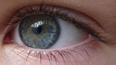 Göz muayenenizi aksatmayın!