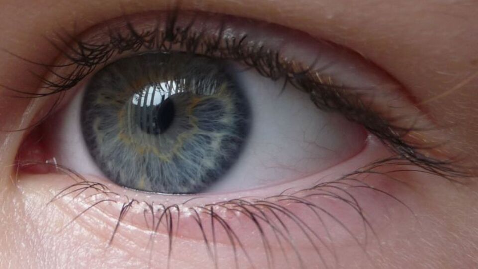 Göz muayenenizi aksatmayın!