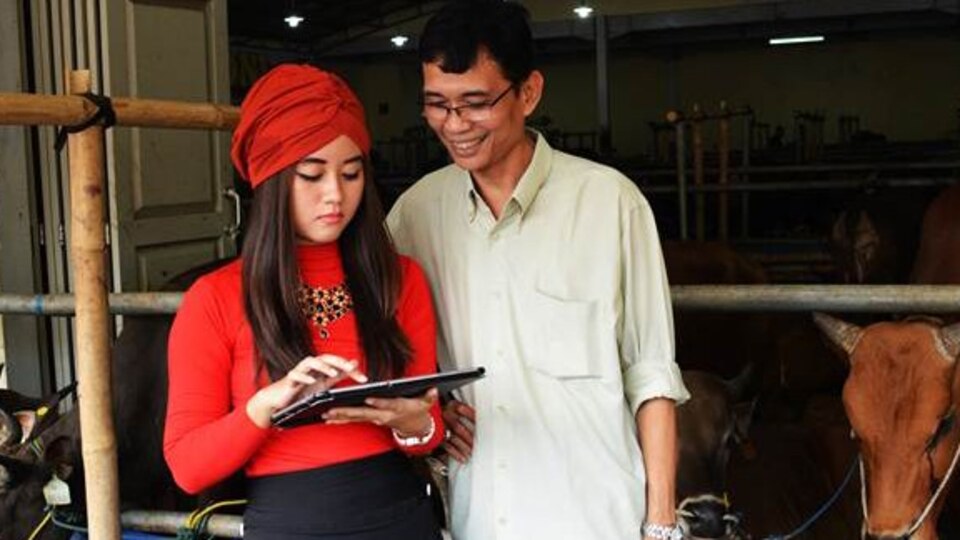 Endonezya'da hostesli kurbanlık satışı