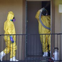 Ebola böyle bulaşıyor!