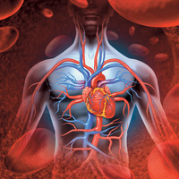 Türkiye’de her yıl 4 bin kişi ANEVRiZMA riski altında