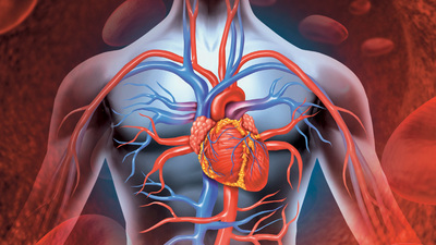 Türkiye'de her yıl 4 bin kişi ANEVRiZMA riski altında