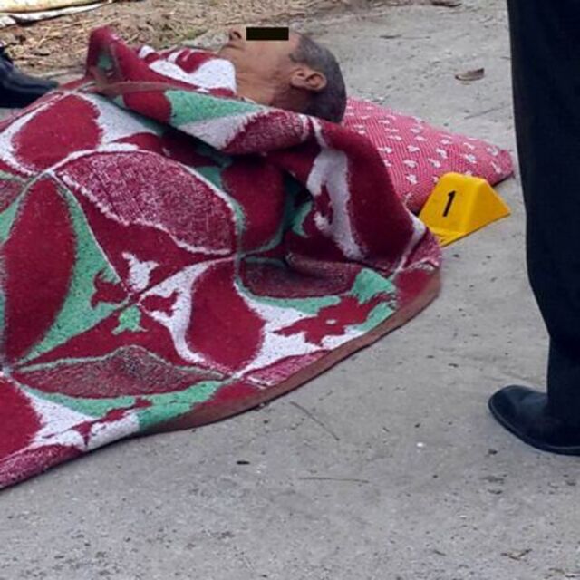Ağaç budarken elektrik çarptı
