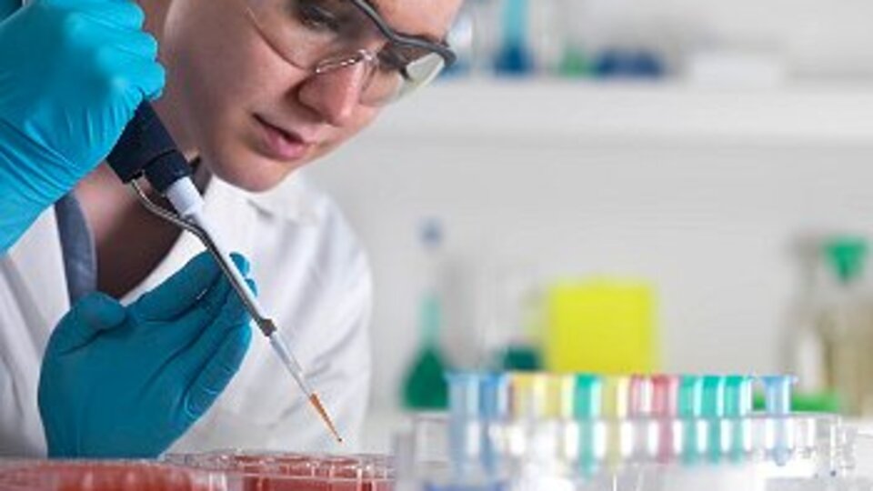 Anoreksiyaya antibiyotik tedavisi